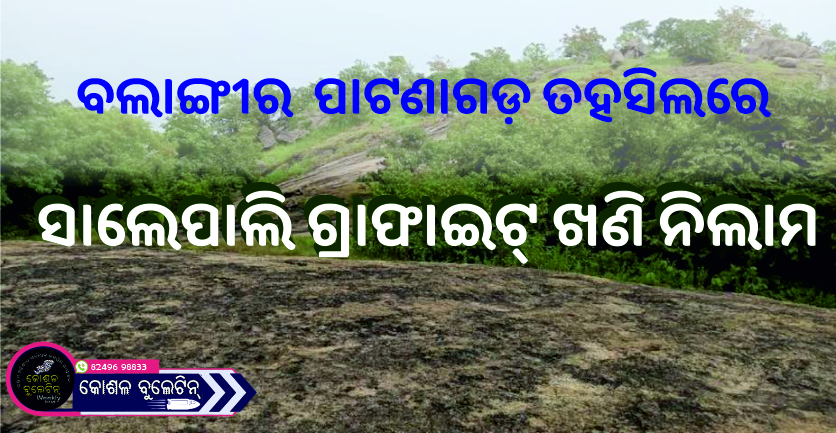 ବଲାଙ୍ଗୀର ଜିଲ୍ଲାର ପାଟଣାଗଡ଼ ତହସିଲରେ ଥିବା ସାଲେପାଲି ଗାଁ ନିକଟରେ ଅବସ୍ଥିତ ସାଲେପାଲି ଗ୍ରାଫାଇଟ୍ ଖଣି  ନିଲାମ