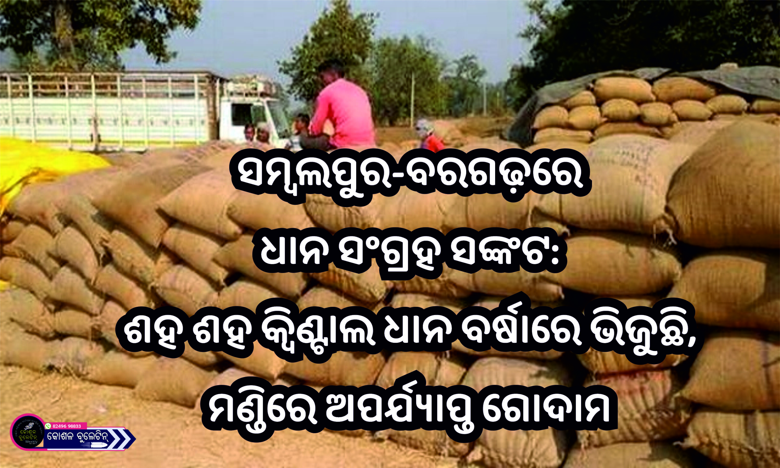 ସମ୍ବଲପୁର-ବରଗଡ଼ ଧାନ କ୍ରୟ ସଂକଟ: ଅଭାବ ମୂଳକ ଗୋଦାମ ବ୍ୟବସ୍ଥାରୁ ଶତାଧିକ କ୍ୱିଣ୍ଟାଲ ଧାନ ବର୍ଷାରେ ନଷ୍ଟ